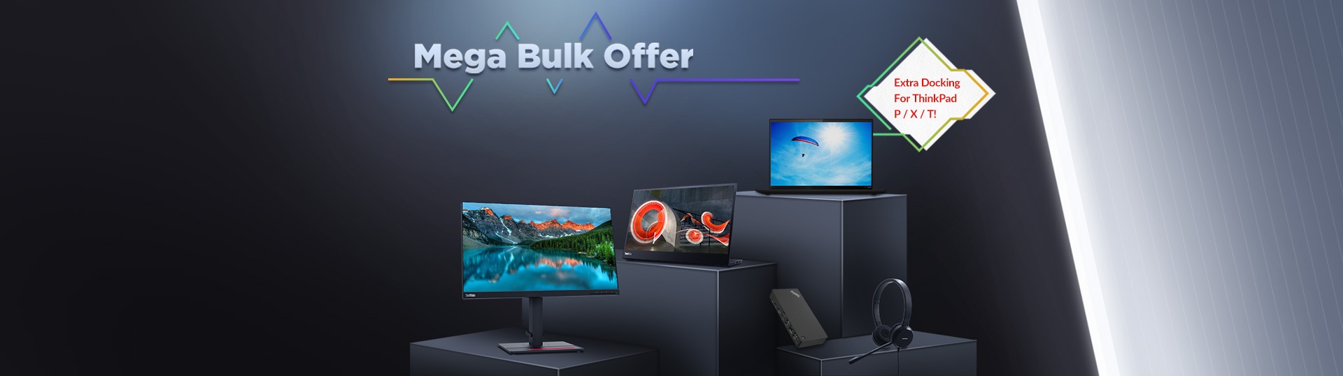 Mega Bulk Offer