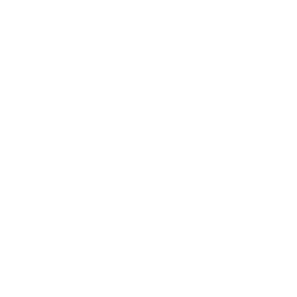 Privacy Scan Icon