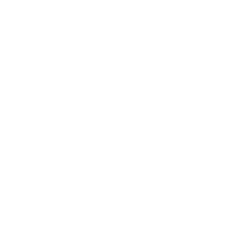 Privacy Scan Icon